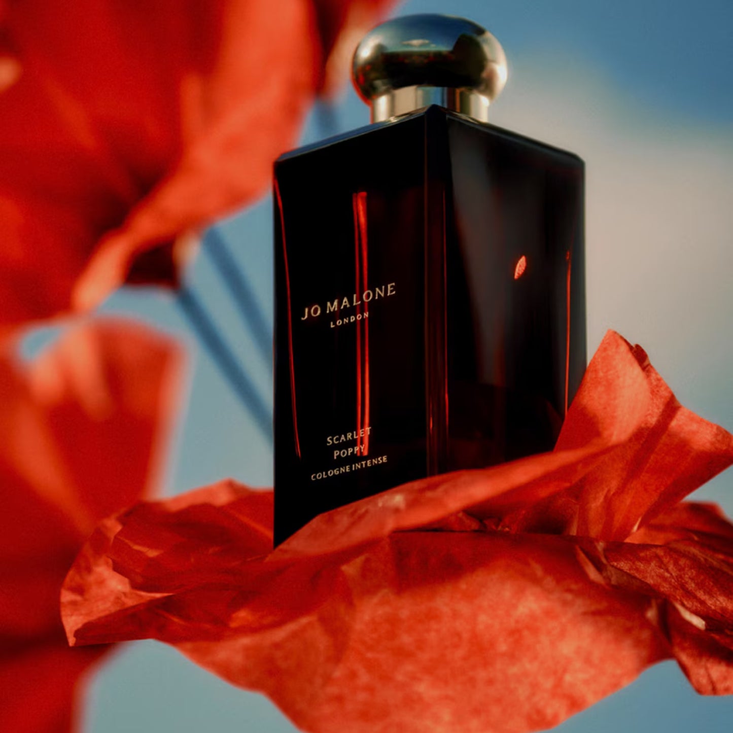 Scarlet Poppy Cologne Intense